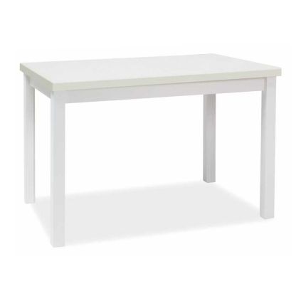 67211 jidelni stul adam 120 x 68 cm bila