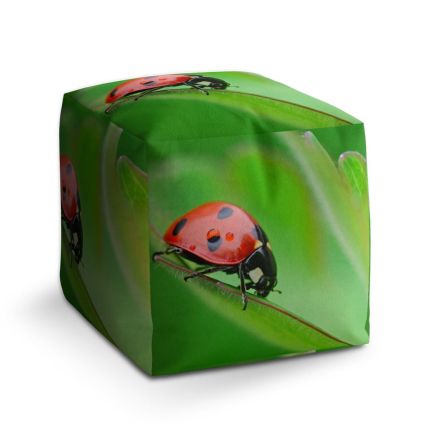 Taburet Cube beruška na listu, zelená
