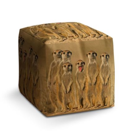 Taburet Cube surikaty, žlutá