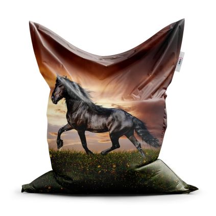 Sedací vak Classic friský kůň, hnědá / černá