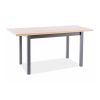 67469 jidelni stul adam ii 100 x 60 cm dub artisan cerna