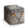 Taburet Cube kočičí pohled, šedá