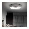 LED stropní světlo s dálkovým ovládáním Treviso - průměr 45 cm, šedá