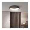 LED stropní světlo s dálkovým ovládáním Treviso - průměr 45 cm, šedá