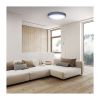 LED stropní světlo s dálkovým ovládáním Grey nastavitelné - průměr 38 cm, šedá