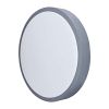 LED stropní světlo s dálkovým ovládáním Grey nastavitelné - průměr 49 cm, šedá