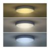 LED stropní světlo s dálkovým ovládáním Grey nastavitelné - průměr 49 cm, šedá