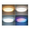 LED stropní světlo s dálkovým ovládáním Floco RGB - průměr 40 cm, bílá