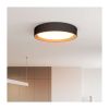 LED stropní světlo s dálkovým ovládáním Larios nastavitelné - průměr 39 cm, černá