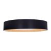 LED stropní světlo s dálkovým ovládáním Larios nastavitelné - průměr 39 cm, černá
