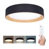 LED stropní světlo s dálkovým ovládáním Larios nastavitelné - průměr 39 cm, černá