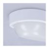 LED venkovní světlo WO744 - ovál 21 x 10,4 cm, bílá